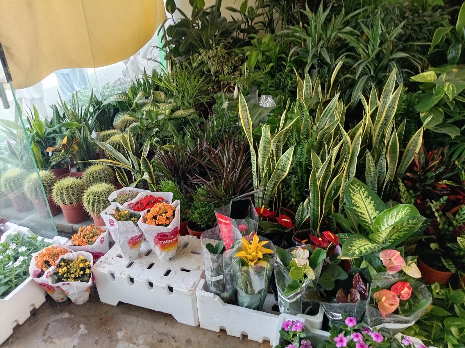 شلالات ونوافير حدائق الرياض